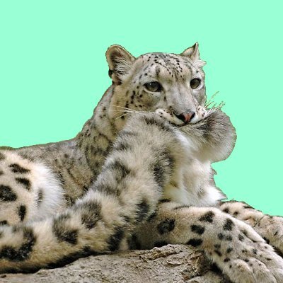 Polatrite's profile picture. Software programmer/leader by day. Indie game designer by night. A lifelong game enthusiast. Dad. Hubs.

All my links: https://t.co/y5SBAtsd4d