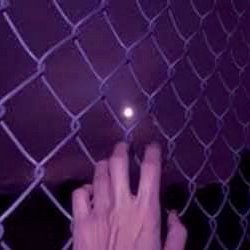 webspider231's profile picture. 