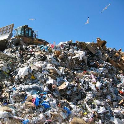 SurveyorKanty's profile picture. Trash/Garbage. Husband. Father.