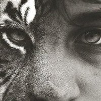 Andrew Sykes (@asykes_7) 's Twitter Profile Photo