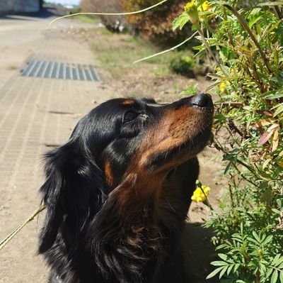 WANさんのプロフィール画像