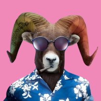 cornudo (@cornuldo) 's Twitter Profile