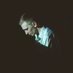 Альф (@alf_domovoy) Twitter profile photo