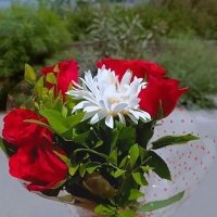 SHORAB HOSSAIN (@shorabh84152110) 's Twitter Profile