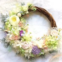 white birch (@whitebi50835553) Twitter profile photo