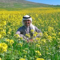 محمد الصافي (@mohammedalsafyi) 's Twitter Profile