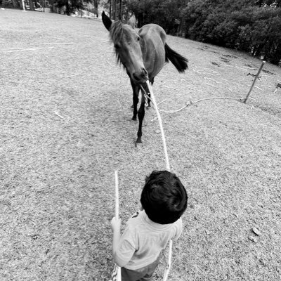 CRmmb3's profile picture. 📚⚽️