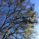 Todd Pitman - @toddpitman - Twitter