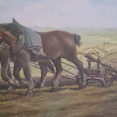Rolnik i nauczyciel. Pasjonat HD-ków🏍, broni strzeleckiej, rekonstrukcji historycznej, cywilizacji grec-rzym-kat. 🇵🇱