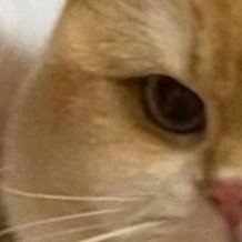 ji8njgm7w59f5's profile picture. 4CNBJESL