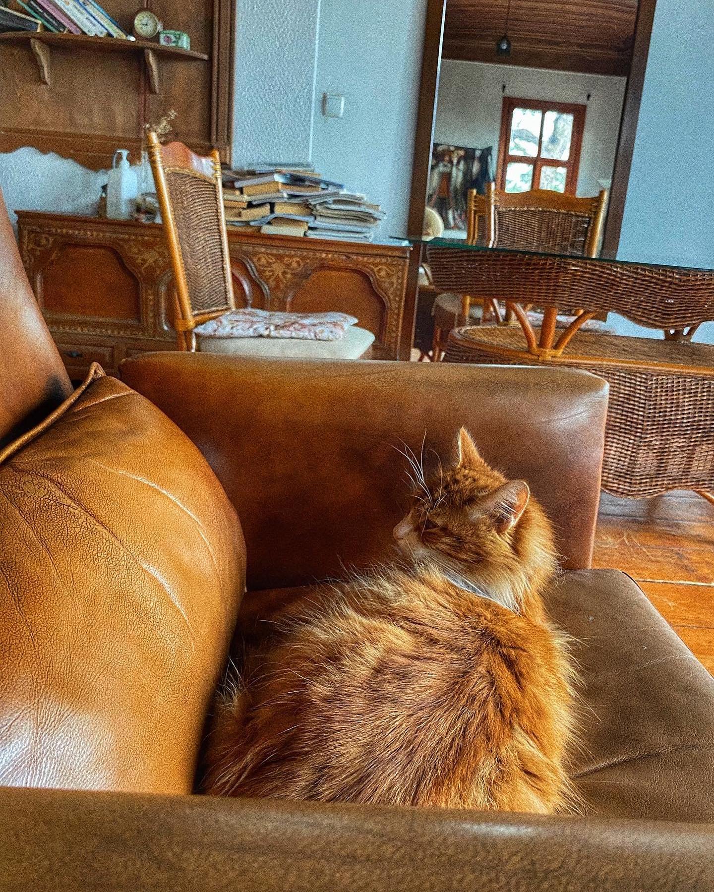 INikolaus13281's profile picture. Leaders don’t force people to follow, they invite them on a journey.