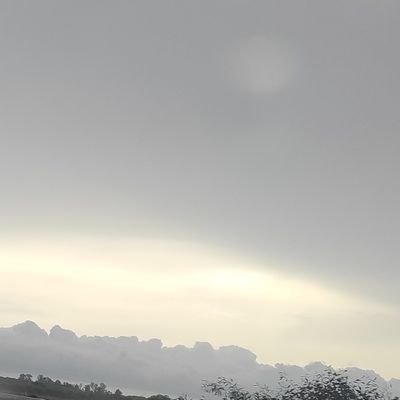 RocioSn33880647's profile picture. 