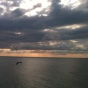 John Vannoy - @javannoy - Twitter