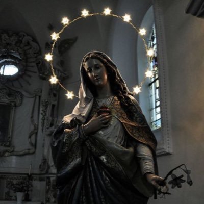 rcknxght's profile picture. Join my server: https://t.co/Wtn8gvvexa