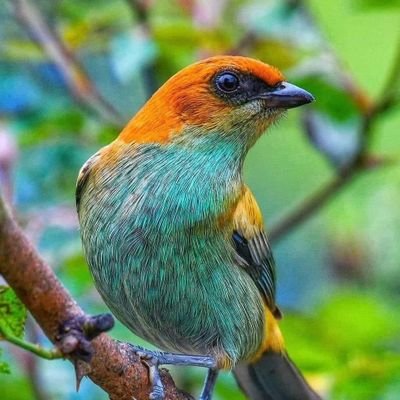 Rajveer2024Deep's profile picture. 