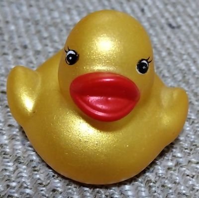 dekanaotan's profile picture. 令和６年旦那が脳梗塞

その後元カノと再会し？？？何度かケンカしたら脳出血
　妻の想いをぶちまけます