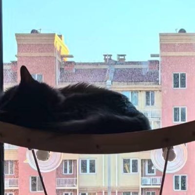 lieanteon's profile picture. 