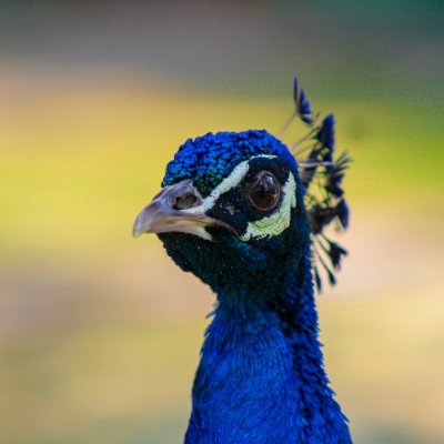 dewilala6's profile picture. Fitness Enthusiast | From marathon running to weightlifting, dedicated to maintaining a healthy and active lifestyle.