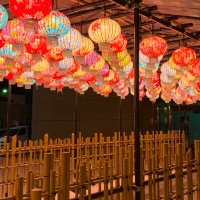 翡翠@取引垢 (@hisui_torihiki3) Twitter profile photo