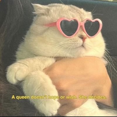25. she/her.
I used to journal aggressively, then I went and got a Twitter account.