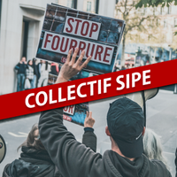 Collectif SIPE (@collectifsipe) 's Twitter Profile