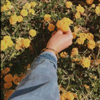 NO§§A🎀✨ (@soadali308) 's Twitter Profile