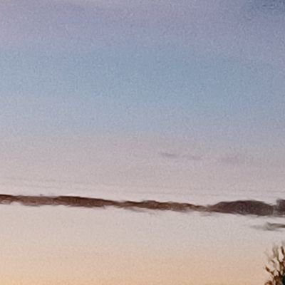 Ellie2326681861's profile picture. 