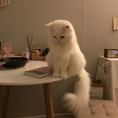 KariLupita23590's profile picture. 163cm/スペ113/スカウトさん探してます