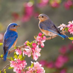 fhinacimais's profile picture. @cvex_xyz