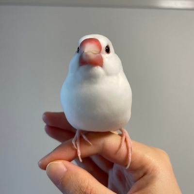 monsallium's profile picture. 公認会計士・税理士
監査法人→ベンチャー管理部長→会計コンサル兼税理士法人所属→開業
興味関心：IPO IFRS M&A FAS 税務 株式投資 不動産投資