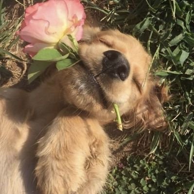 pondnaravits_gf's profile picture. 