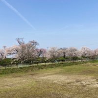 なつ (@natsudp7) 's Twitter Profile