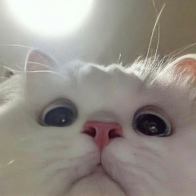 me_Tachyon's profile picture. 22 worth the tachy