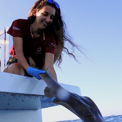 PhD Candidate @UMU. Co-founder @Guitarprotect. Ecology and Conservation of Guitarfish & Co (southeast Spain). Alumni @FundlaCaixa and @BonnConvention.