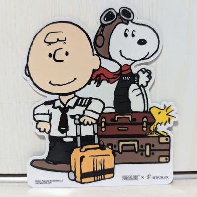 g00d1uck39's profile picture. 地方公立大学卒→内航船貨物業務→日系グランドスタッフ→日系エアライン運航管理→緑色のカフェ→日系エアラインクルー

クルーなはずだけど違うかも