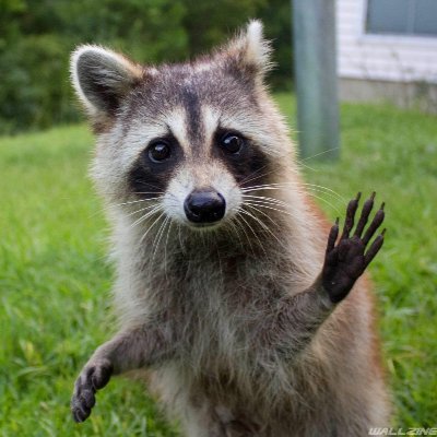 anzundin77793's profile picture. Compassion without reason is a vice not a virtue.