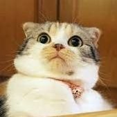 Easy3_Money's profile picture. Surprise Me