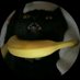 sweet pvmnkin (@sweetpvmnkin) Twitter profile photo sweet pvmnkin (@sweetpvmnkin) Twitter profile photo