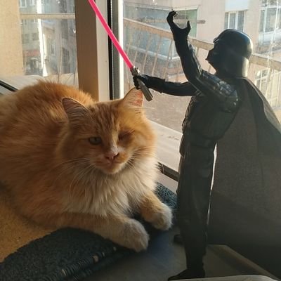 @KedaytheCat