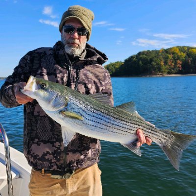 purplebaco69's profile picture. 