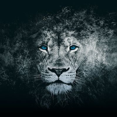@tsv1860 🤍💙
Sechzig München meine Liebe, du wirst niemals untergehn💙