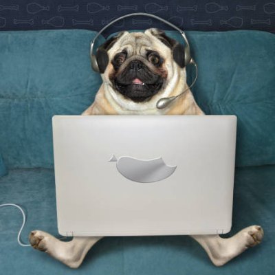 CODINGMEMEZ's profile picture. It was funny on my machine | Daily Programing Humor