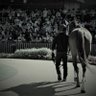 ashigen00's profile picture. 競馬と音楽とお笑いが好きな猫飼いの人間