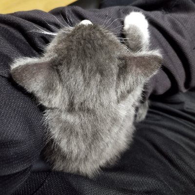 gd8JwwooLPjB7wk's profile picture. 