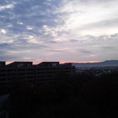 Yokoyan ゴリラ イケメン で画像検索すると幸せになるな