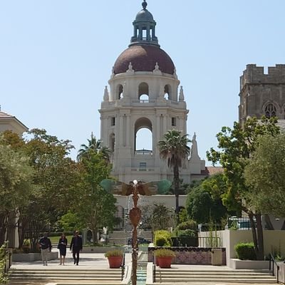 D10RAMA_Joey's profile picture. 経営企画/ゲームサークル宣伝広報