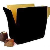 Phoenix Delite (@phoenixdelite) 's Twitter Profile