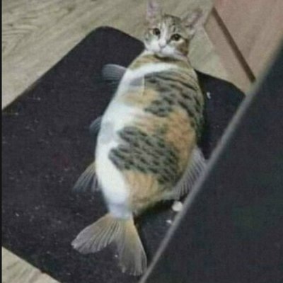 Catfishsadsad's profile picture. I spent 100 days...