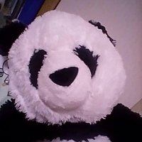 マユだよ (@mayudayo_mayu) 's Twitter Profile