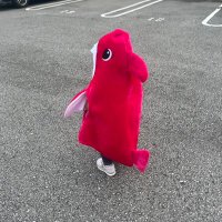 シマブクロメグミ (@20092014) 's Twitter Profile